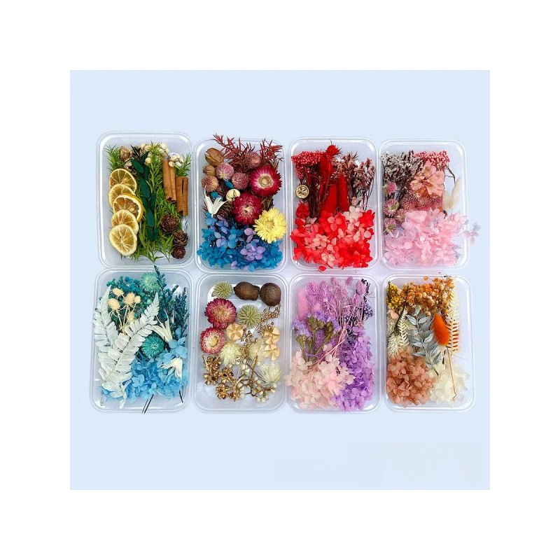 Dried Flower Package Mixed Eternal Flower and Foliage for Aromatherapy Candles Greeting Card Epoxy DIY Craft Decor